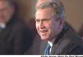 bush.jpg